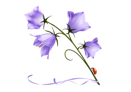 kak_narisovat_kolokolchik_cvetok